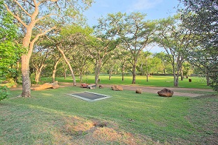 The grassed camp sites under shady trees